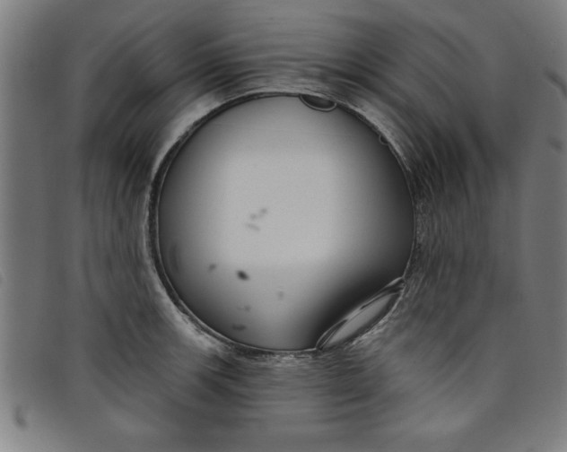 X0000097871139200804041545