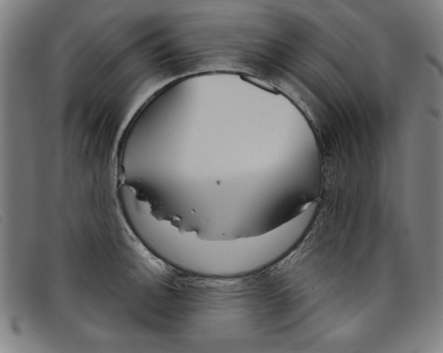 X0000097871140200804041545