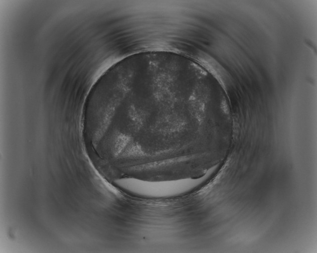 X0000097871141200804041545