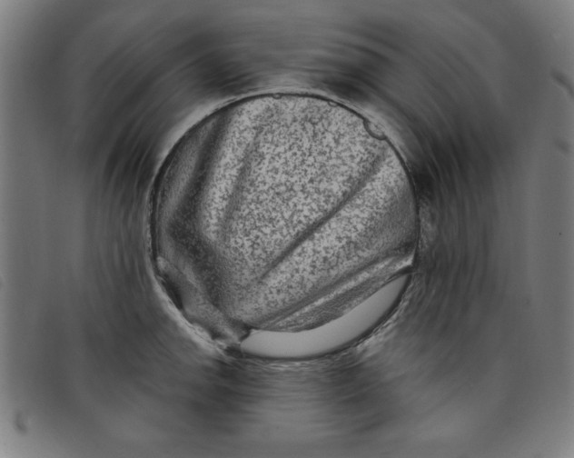 X0000097871142200804041545