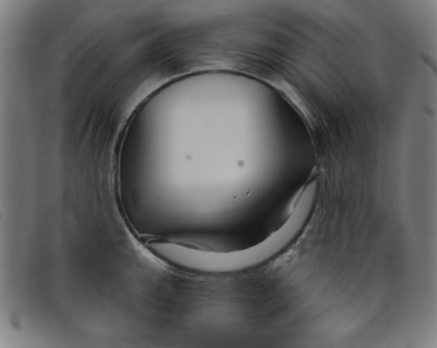 X0000097871143200804041545