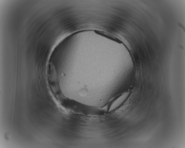 X0000097871144200804041545