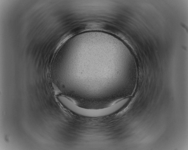 X0000097871145200804041545