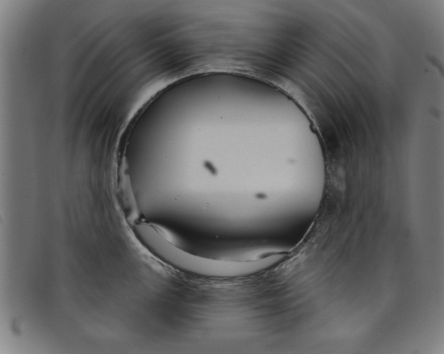 X0000097871147200804041545