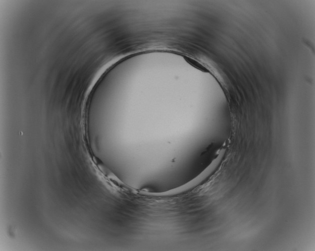 X0000097871148200804041545