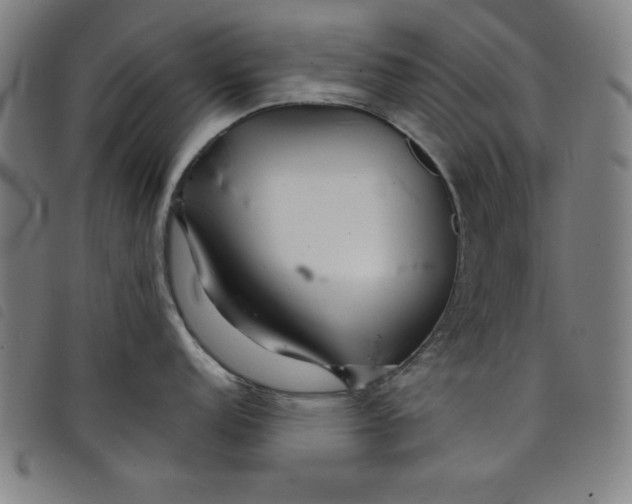 X0000097871152200804041545