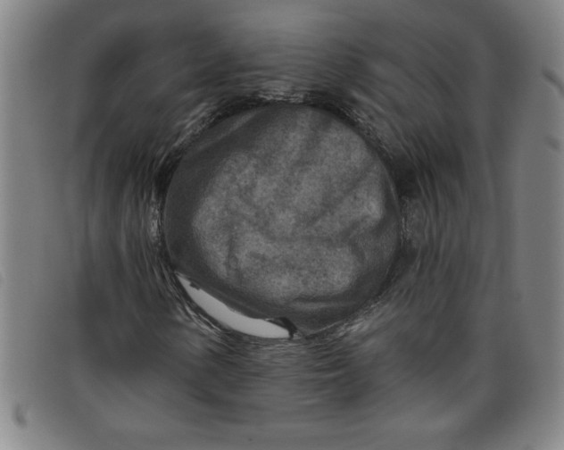 X0000097871154200804041544