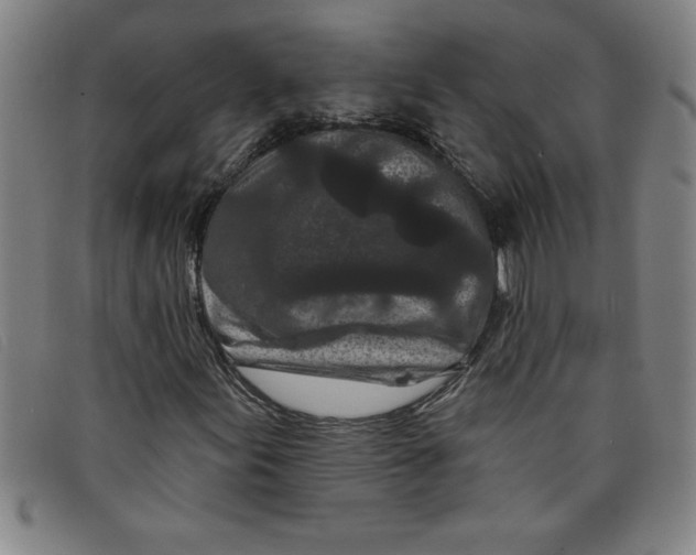 X0000097871155200804041544