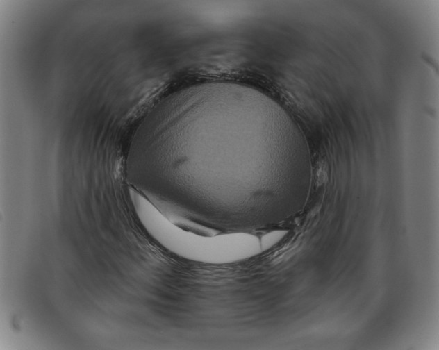 X0000097871156200804041544
