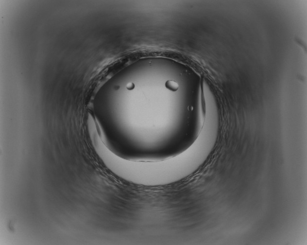 X0000097871157200804041544