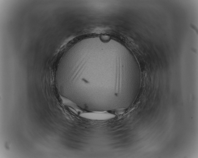 X0000097871158200804041544