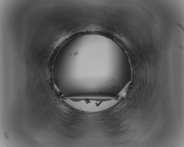 X0000097871160200804041544