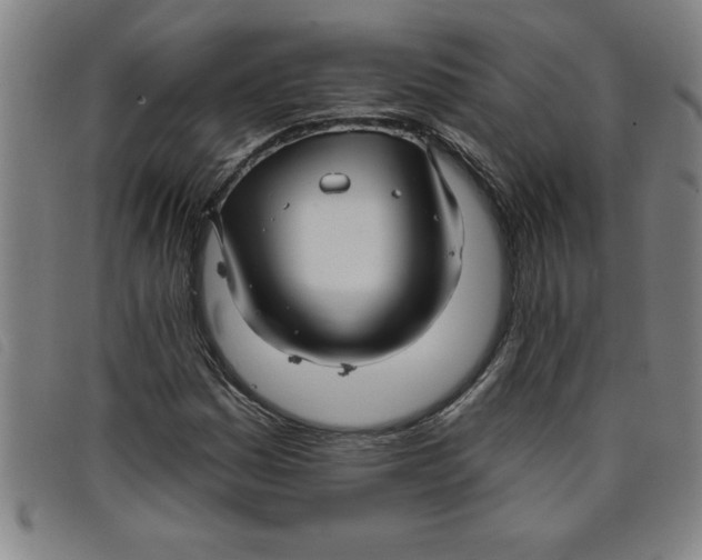 X0000097871161200804041544