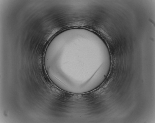 X0000097871162200804041544