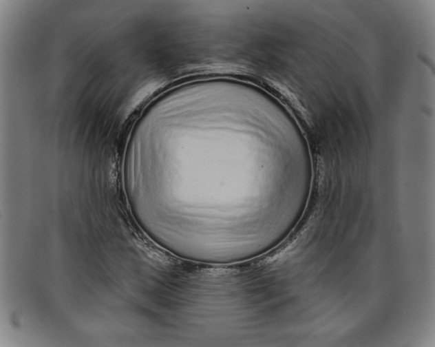 X0000097871163200804041544
