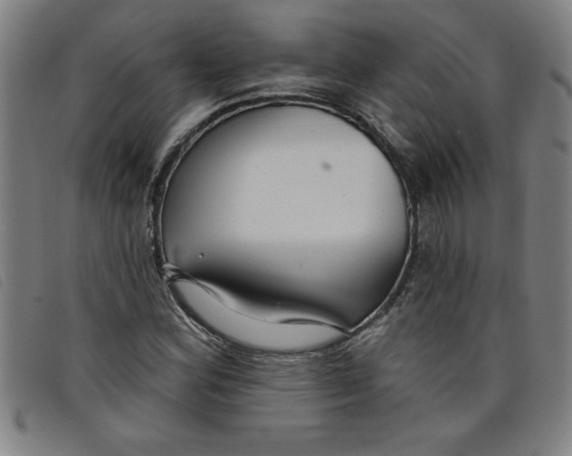 X0000097871164200804041544