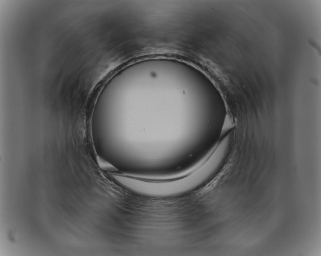 X0000097871165200804041544