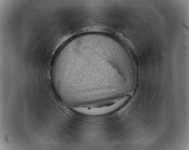 X0000097871166200804041544