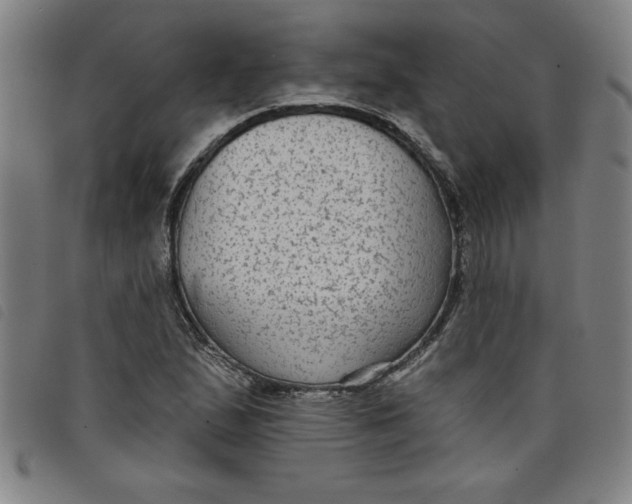X0000097871167200804041544