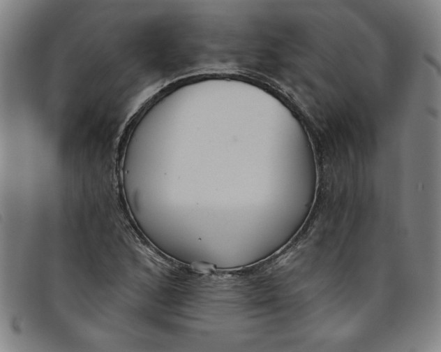 X0000097871168200804041544