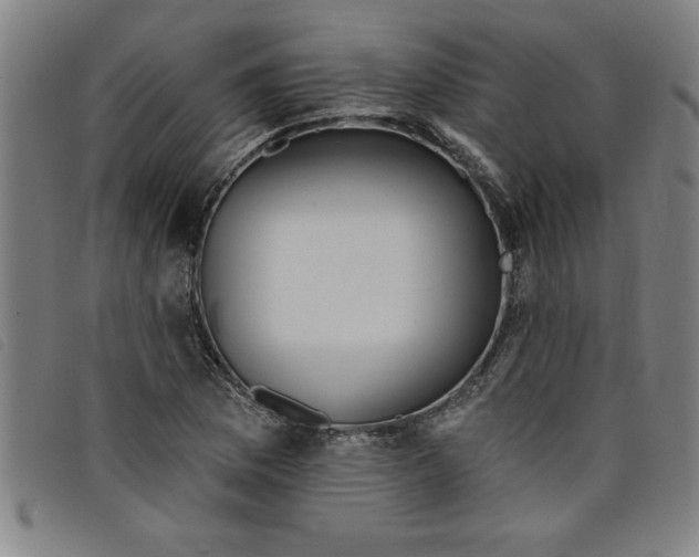 X0000097871169200804041544