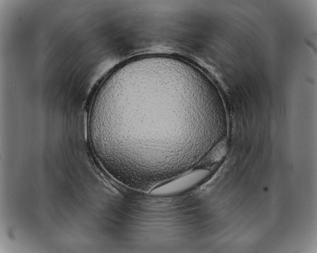 X0000097871171200804041544