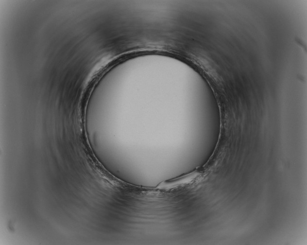 X0000097871172200804041544