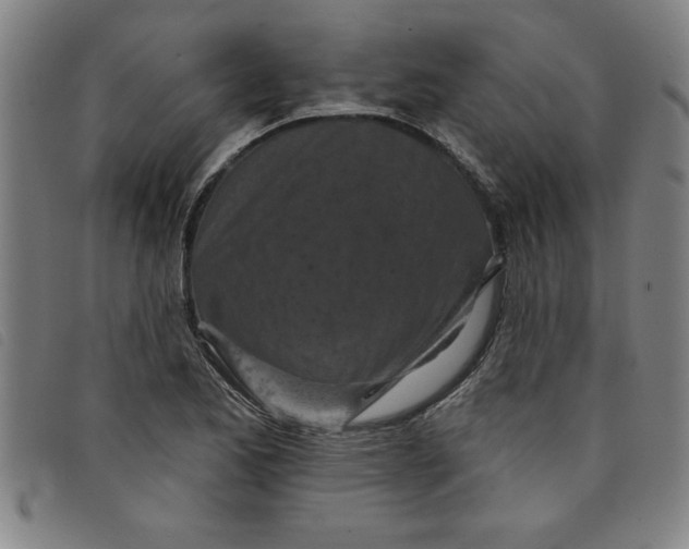 X0000097871173200804041544