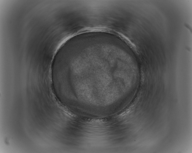 X0000097871174200804041544