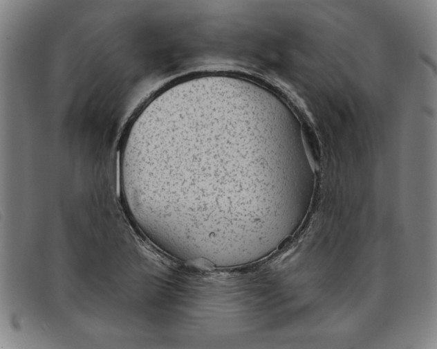X0000097871175200804041544