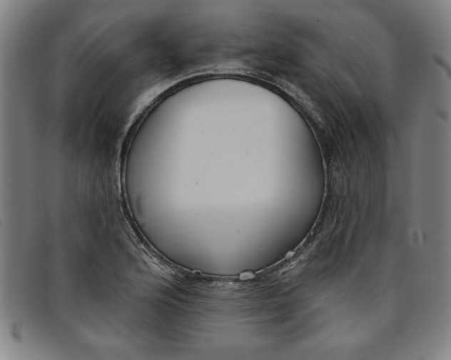X0000097871176200804041544