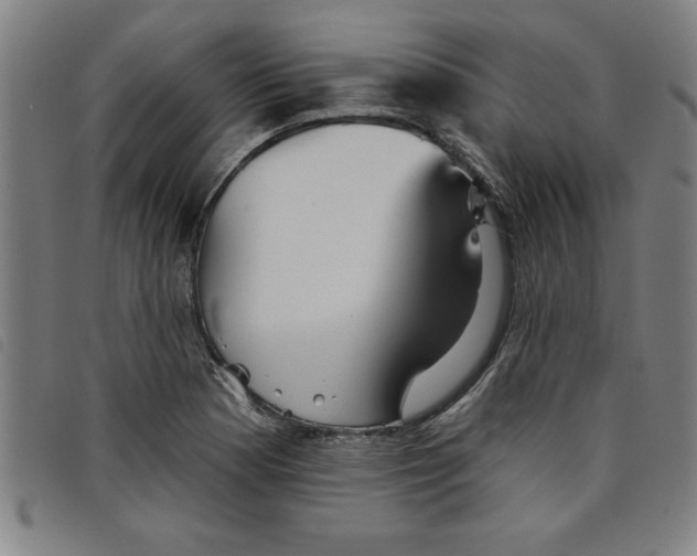 X0000097871177200804041544