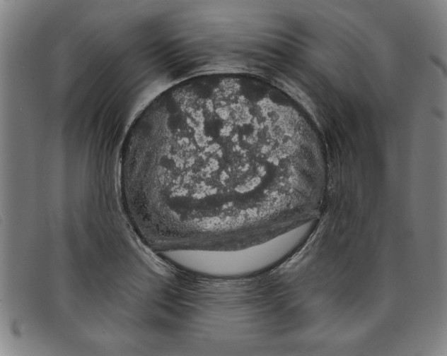 X0000097871179200804041544