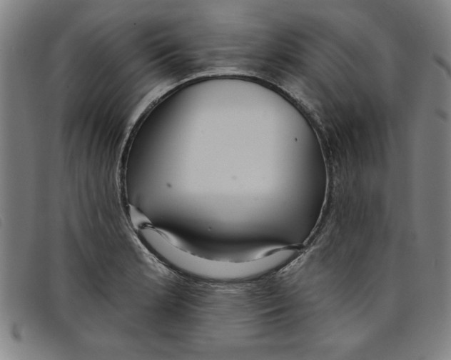 X0000097871181200804041544