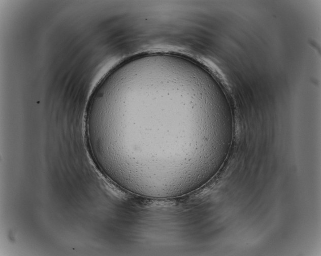 X0000097871183200804041544