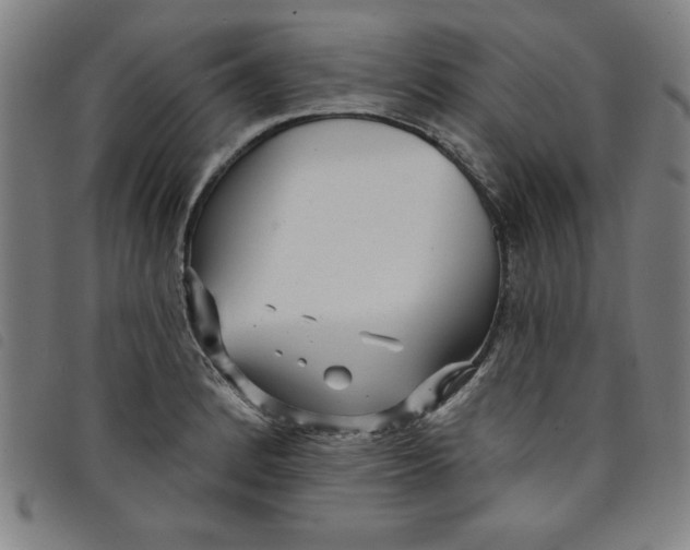 X0000097871184200804041544