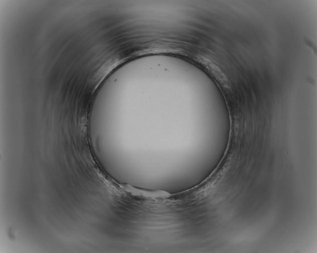 X0000097871185200804041544