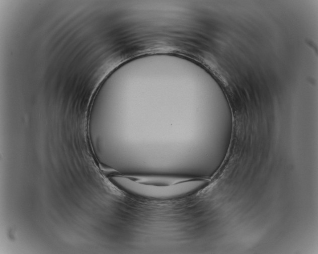 X0000097871186200804041544