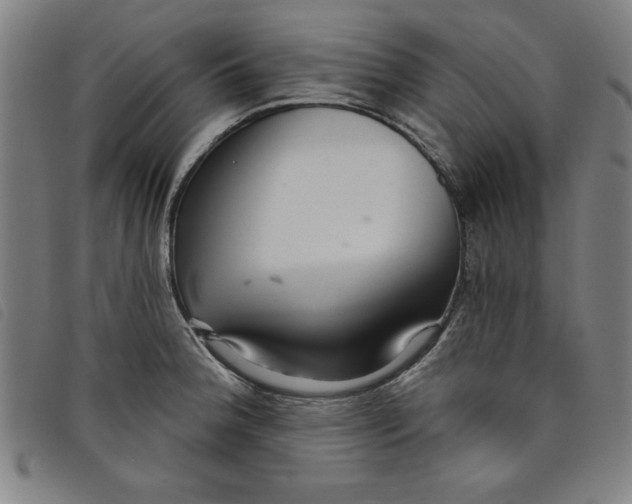 X0000097871188200804041544