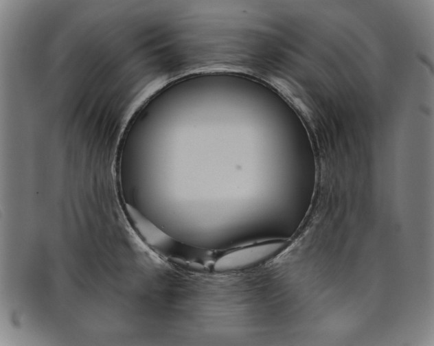 X0000097871189200804041544
