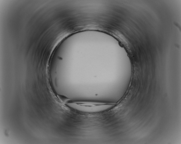 X0000097871190200804041544