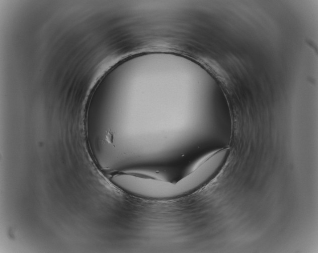 X0000097871192200804041544