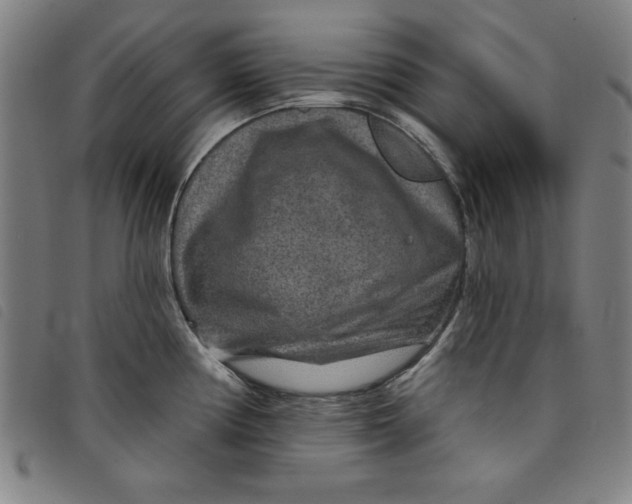 X0000097871194200804041544