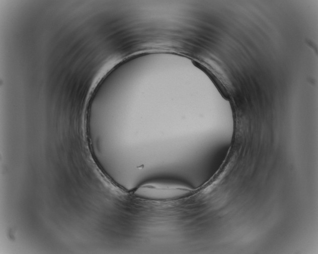 X0000097871196200804041544