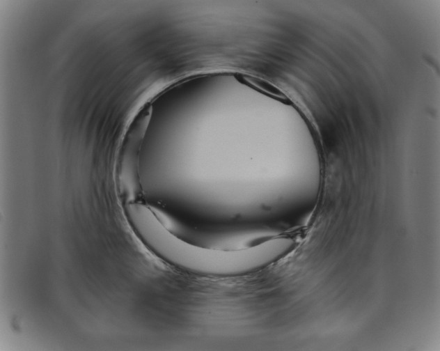 X0000097871197200804041544