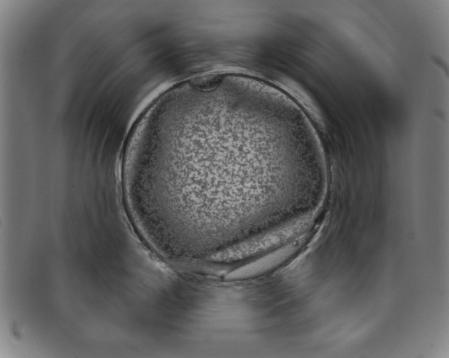 X0000097871198200804041544