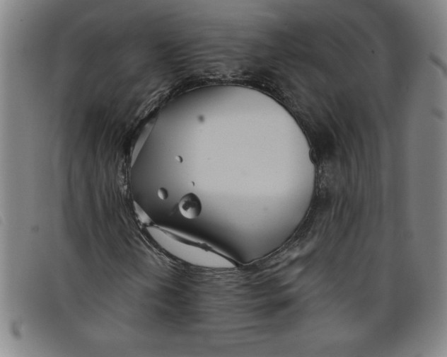 X0000097871202200804041543