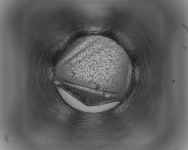 X0000097871204200804041543