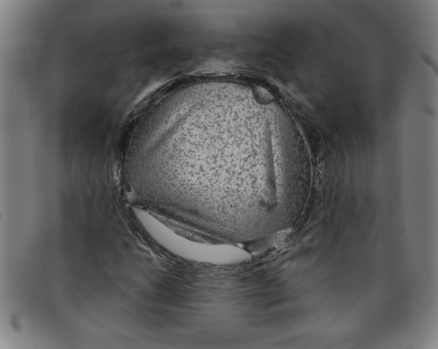 X0000097871206200804041543