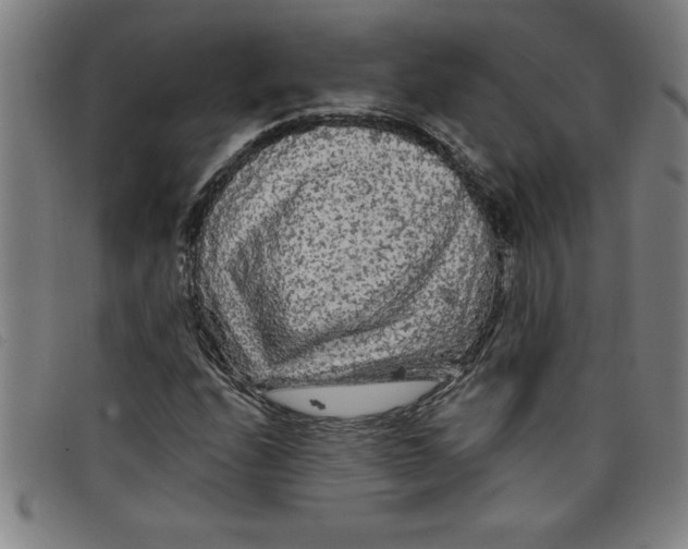 X0000097871208200804041543